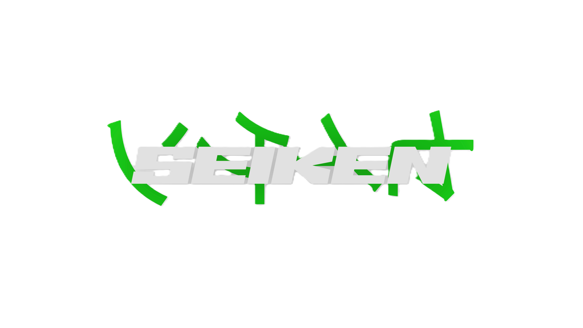 Seiken Training Box Logo